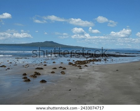 A bit of seaweed washed up on the shore and rangitoto island in the background.