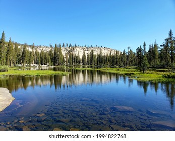 Bit Of Sierra National Forest Beauty