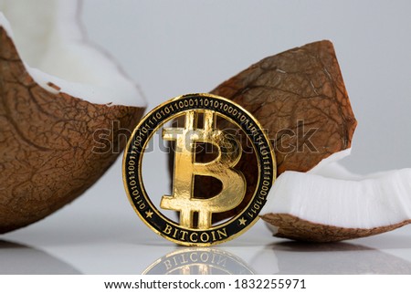 Bitcoin BTC cryptocurrency physical coin placed next to broken coconut on the white reflective table. Macro shot.