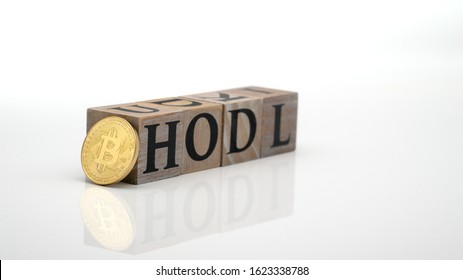 Bitcoin BTC Hodl Letters And Golden Coin White Background