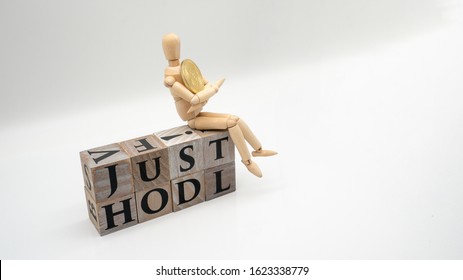 Bitcoin BTC Just Hodl Letters And Golden Coin