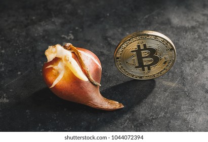 Bitcoin Bubble Cryptocurrency With Tulip Bulbs - Tulip Mania Market Crash