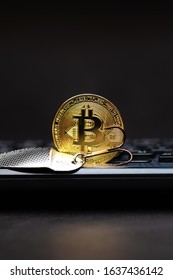 Bitcoin Coin On A Hook Over The Keyboard. Cryptocurrency Scam Concept