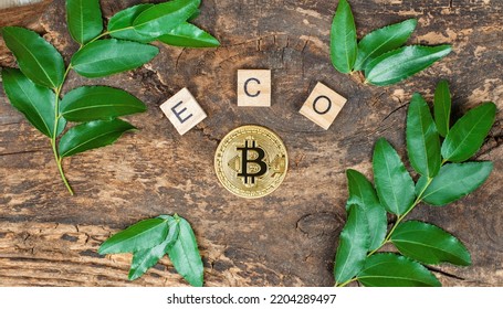 Bitcoin Coin On A Wooden Background Framed By Green Leaves And The Inscription ECO. Top View, Mockup.