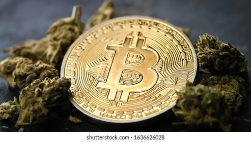 cryptocurrency for medical
