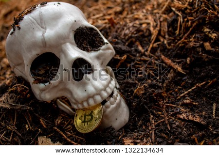 Bitcoin is dead - bones & skull