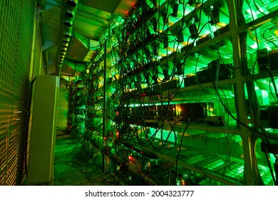 Bitcoin miners in large farm. ASIC mining equipment on stand racks mine cryptocurrency in steel container. Blockchain techology application specific integrated circuit datacenter. Server room lights.