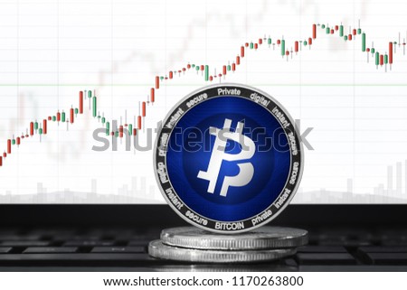 Bitcoin Private Btcp Cryptocurrency Bitcoin Private Stock Photo - 