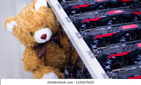 where is the teddy bear in bitcoin miner