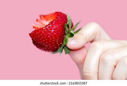 bitten red sweet tasty strawberry isolated on pink background in woman,girl hand. summer fruits concept. fresh food and drink. strawberry juice. mockup space for text. one big strawberry fruit - Powered by Shutterstock