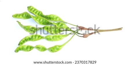 bitter bean, twisted cluster bean, stink bean, sato, petai or pakria,(parkia speciosa) prepare for cooking isolate on a white backdrop.plants for thai and asian ingredients food 