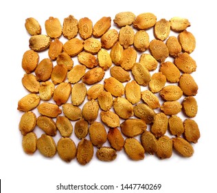 Bitter Gourd Seed Images Stock Photos Vectors Shutterstock