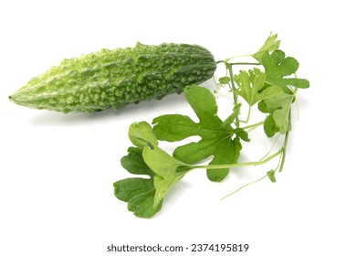 Bitter melon or bitter gourd with leaves isolated on white background.