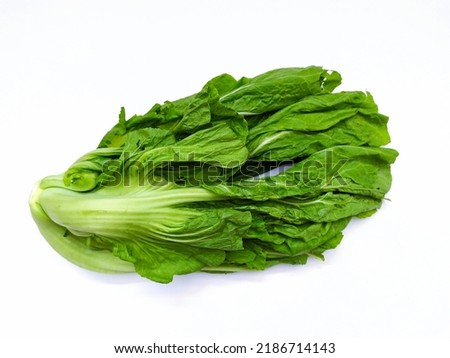 Bitter mustard or green mustard (Brassica Juncea) or Chinese mustard isolated on white background