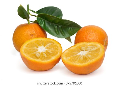 Bitter Orange