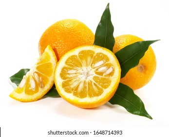 Bitter Orange Kumquat on white Background