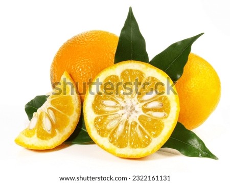 Bitter Orange Kumquat on white Background - Isolated