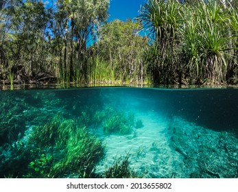 Bitter Springs Darwin Northern Territory