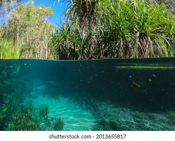 Bitter Springs Darwin Northern Territory