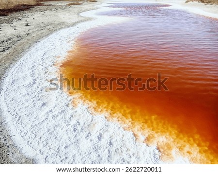 Bitter-salty internal-flow system through mud salty marches. Salt deposition in summer