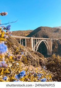 Bixby Bridge in the Spring