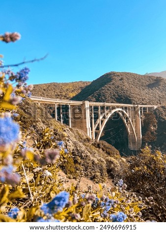 Bixby Bridge in the Spring