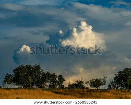 Bizarre cloud formation in the evening sky