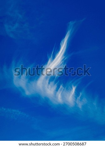 Bizarre cloud formations in the blue sky