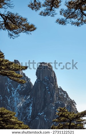 bizarre shape pine trees in the Yellow Mountain after snow