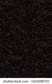 Black African Curls Hair Texture Closeup 