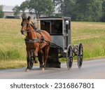 Black Amish buggy with horse