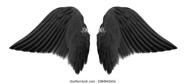 black angel wings isolated on white background