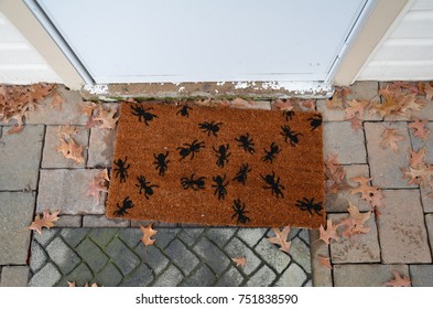 Black Ants Or Spiders On A Door Mat