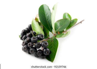 Black Aronia Berries On A White Background