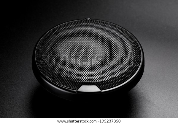 black audio  speaker for\
car