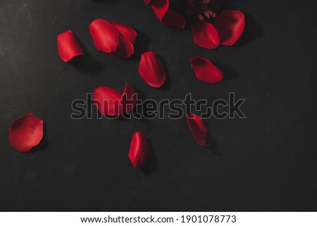 Black background with red rose petals Concept of valentines day
