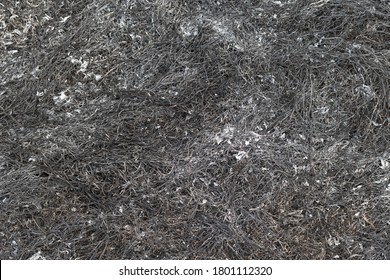 Black Background Of Scorched Earth After A Fire. Ashes Of Burnt Plants On Scorched Earth. Burnt Grass Texture.