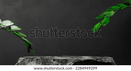 Black background with stone granite podium and tropical leaf. Product pedestal display mockup. Natural aesthetic luxury interior room.