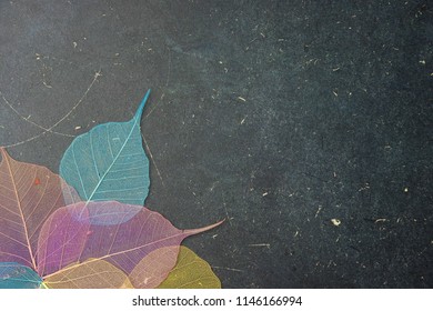 Black background with ultra violet dry leaves at the bottom of the frame, space for text - Powered by Shutterstock