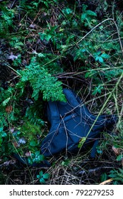 Black backpack lying between bushes on forest ground. Top view.