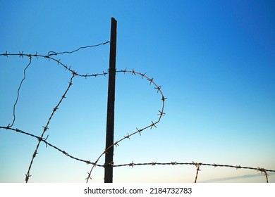 black barbed wires under a blue sky, Security Fence, barbed wire on the wall. close-up barbed wire. outdoors