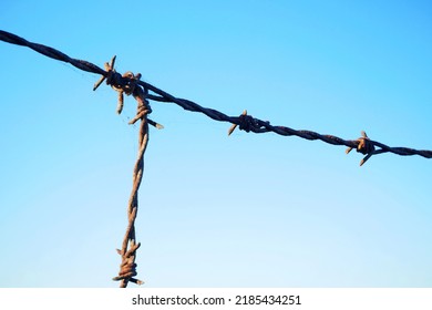 black barbed wires under a blue sky, Security Fence, barbed wire on the wall. close-up barbed wire. outdoors
