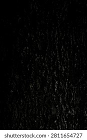 Black bark with an imposing pattern.