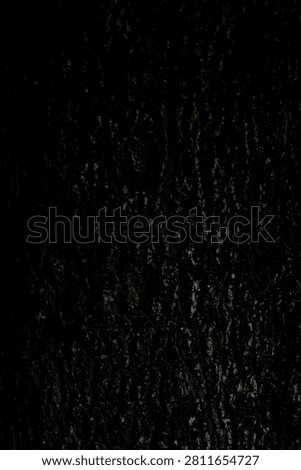 Black bark with an imposing pattern.