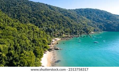 Black Beach in Big Island, Angra dos Reis, Rio de Janeiro, Brazil. Sunny day at the beach with crystalline and turquoise water. Landscape with palm trees and many trees on the paradisiacal beach. 
