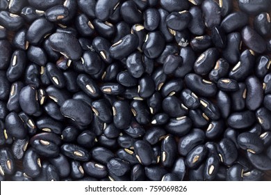 Black Bean On Background.top View