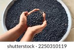 Black beans, organic beans, whole and incomplete beans, non-toxic, taken by farmers.  The background image is a selection of black beans.