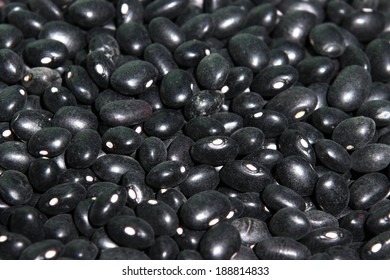 Black Beans At Shallow Depth Of Field