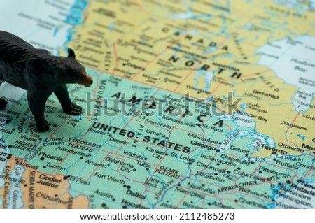 A black bear placed on a map of the United States. a bear market, a fall in the stock market. Economic downturn, financial crisis.bearish.down trend investment,US stocks