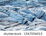 A black bear walking across the ice of the Matanuska Glacier in south-central Alaska. Trekking among dangerous crevasses and seracs on white and blue ice.